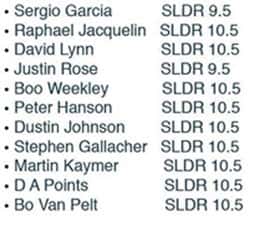 Driver-SLDR-lofts