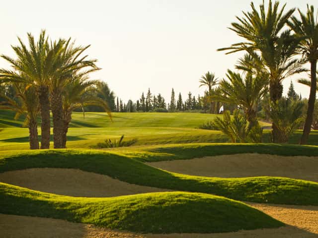 Assoufid-Golf-Club-2