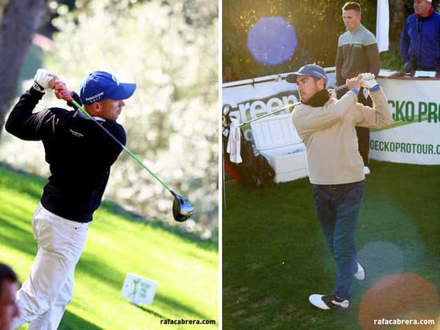 Holiday-Golf-Gecko-2
