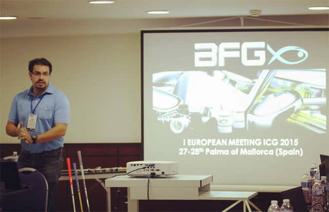 ICG-Palma-4