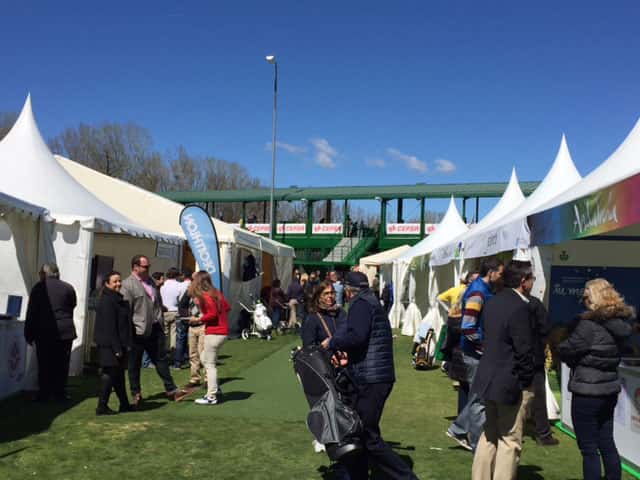 MGE16-Stands
