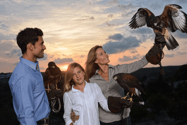 Las-Colinas-Aves-3