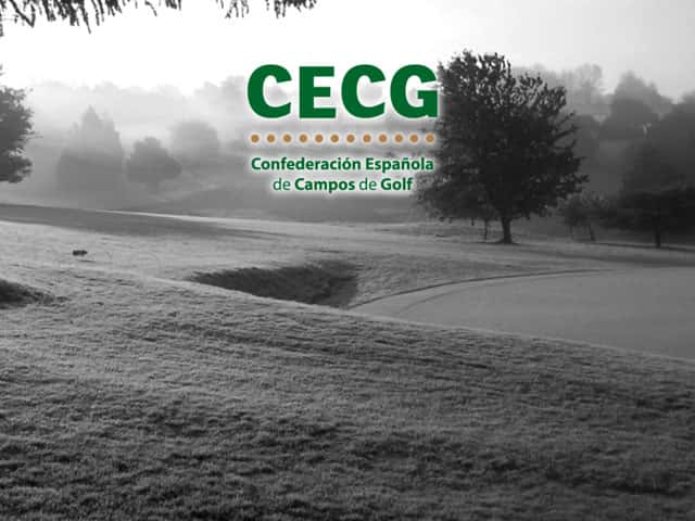CECG-1