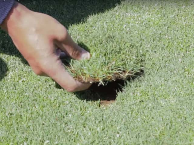 Reglas de Etiqueta – Cómo reponer bien las chuletas en el campo de golf